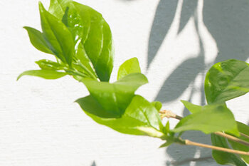 Newsletter - VBV-Schulungszentrum mit moderner Ausstattung