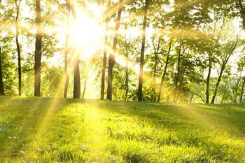 Newsletter - VBV-Online-Schulung für angehende Versicherungsberater