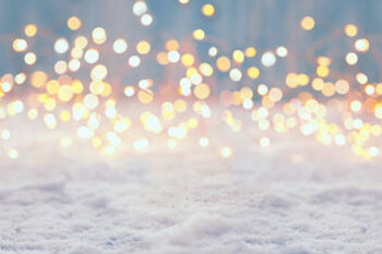 Newsletter - VBV-Interaktive Lernsession über Versicherungsrecht