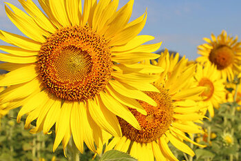 Newsletter - VBV-Praktikanten lernen Schadensfallbearbeitung in einer Agentur