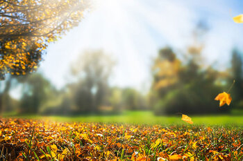 Newsletter - VBV-Team bespricht neue Strategien in der Versicherungsberatung