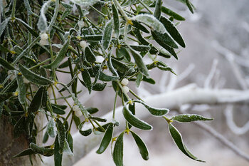 Newsletter - VBV-Versicherungsvermittler analysiert Kundenfeedback