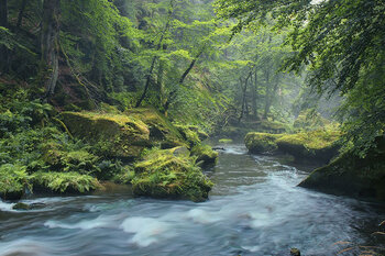Newsletter - VBV-Branchentreffen zur Diskussion über Versicherungstrends