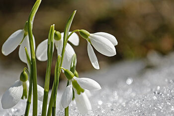 Newsletter - VBV-Ausbildungsabschlussfeier von Versicherungsberatern